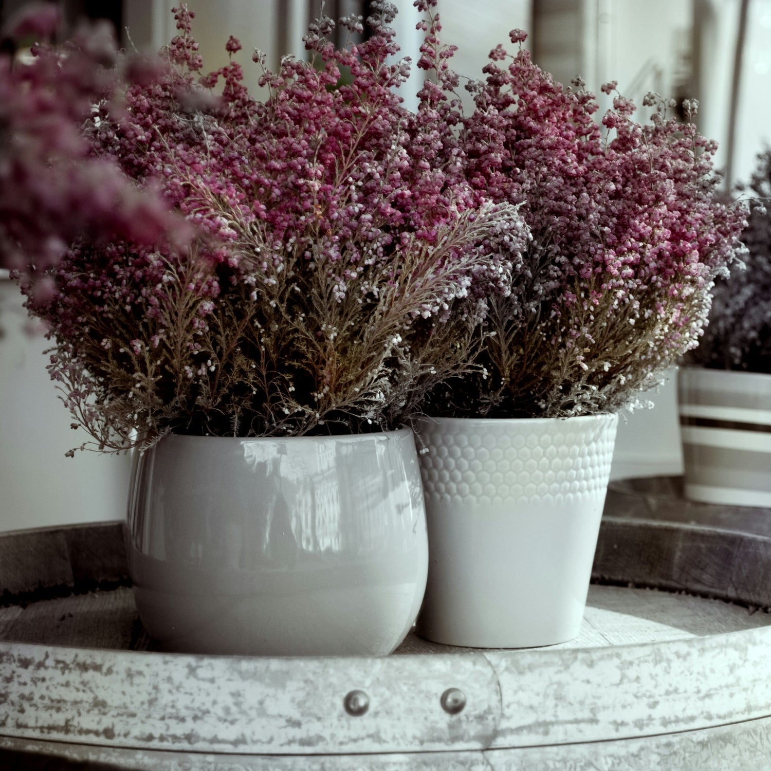 Floral Pots & Planters